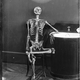 Illustration for article titled So you want to hang your skeleton in public? Here's how.